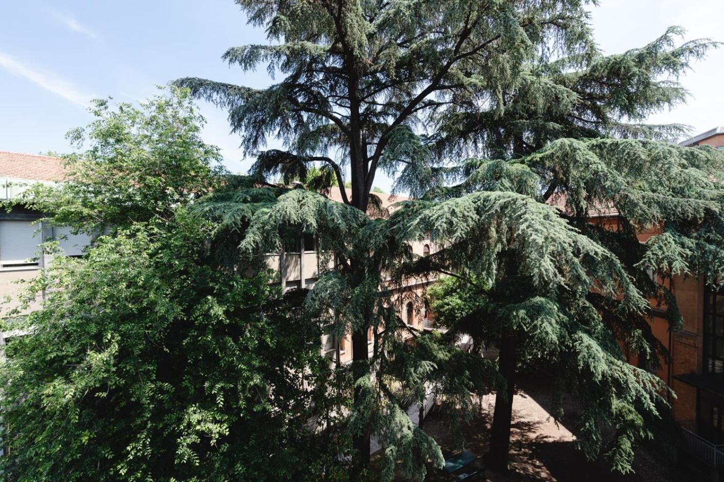 La Favolosa Casa Di Amelie Bologna Ngoại thất bức ảnh